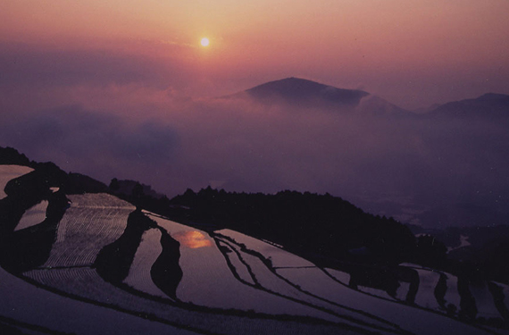 岳の棚田