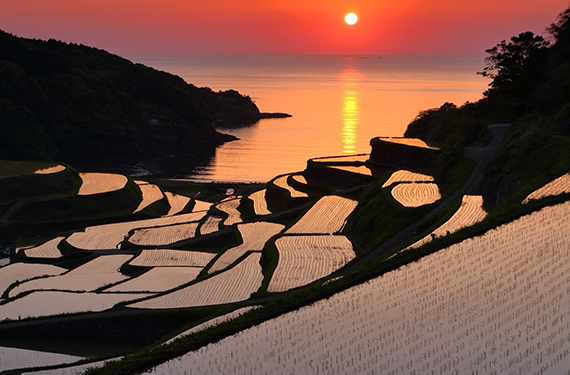 浜野浦の棚田