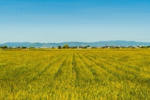 画像2.jpg