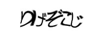 Authentication image